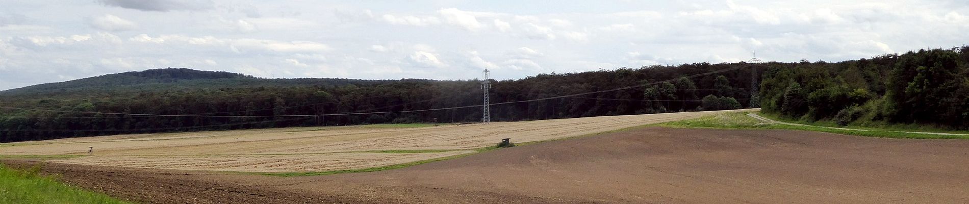 Tocht Te voet Rosdorf - Rundwanderweg Scheden 9 - Photo