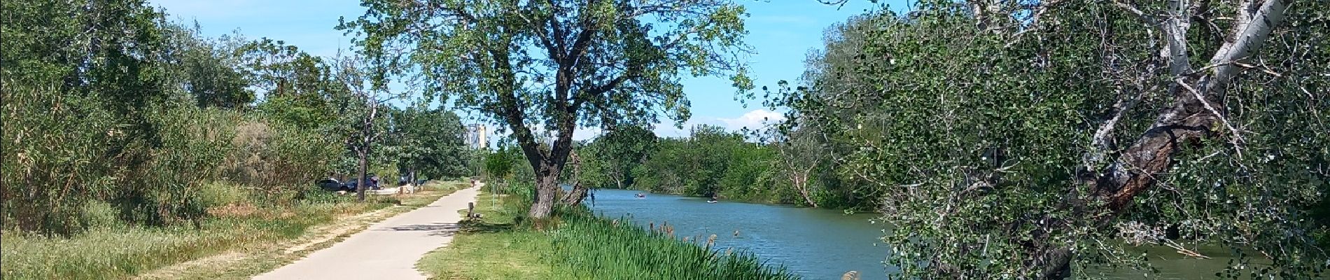 Tour Wandern Arles - arles sud, théâtre, pont van gogh et au delà  - Photo