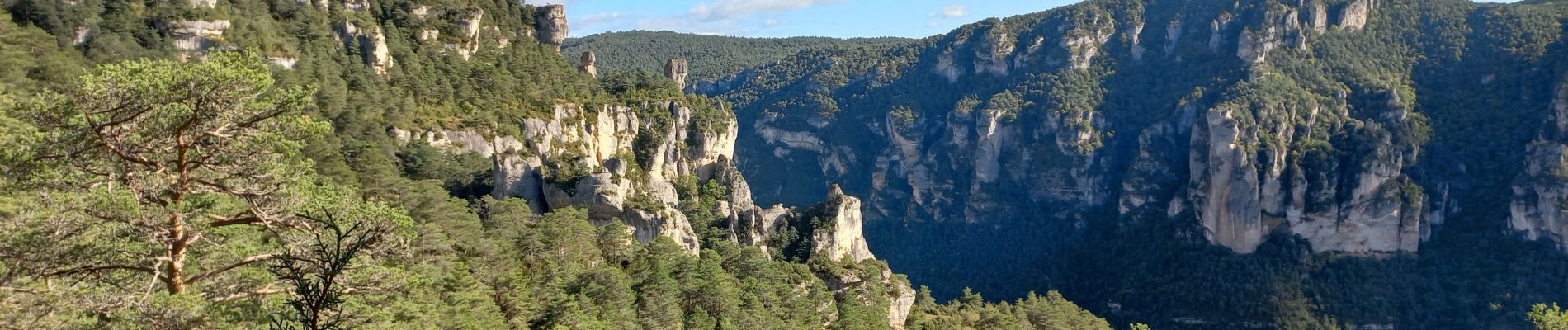 Excursión Senderismo Le Rozier - Gorges de la Jonte - Photo