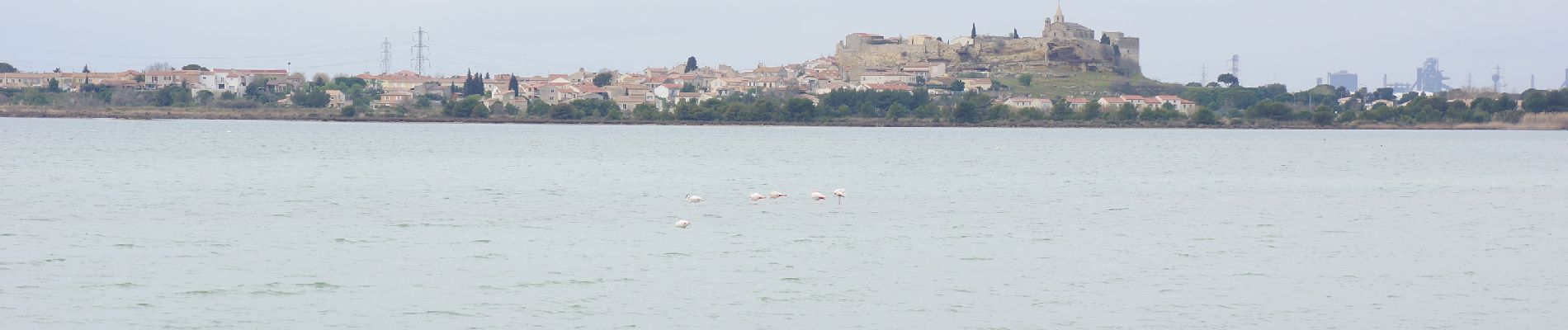 Percorso A piedi Fos-sur-Mer - Fos - tour etang de l'Estomac - Photo