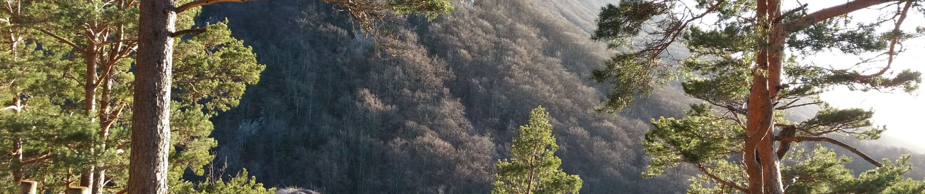 Excursión Senderismo La Chapelle-du-Mont-du-Chat - MONT DU CHAT: LES BELVEDERES - Photo