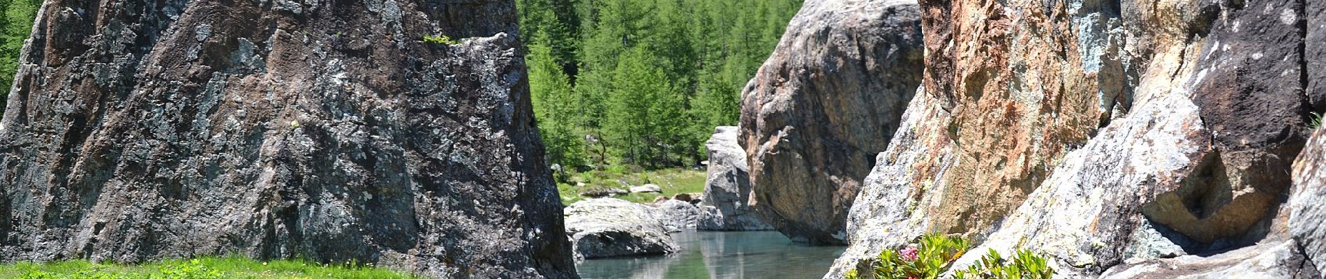 Tour Zu Fuß Berbenno di Valtellina - (SI D21N) Rifugio Marinella al Prato Maslino - Rifugio Bosio Galli all'Alpe Airale - Photo