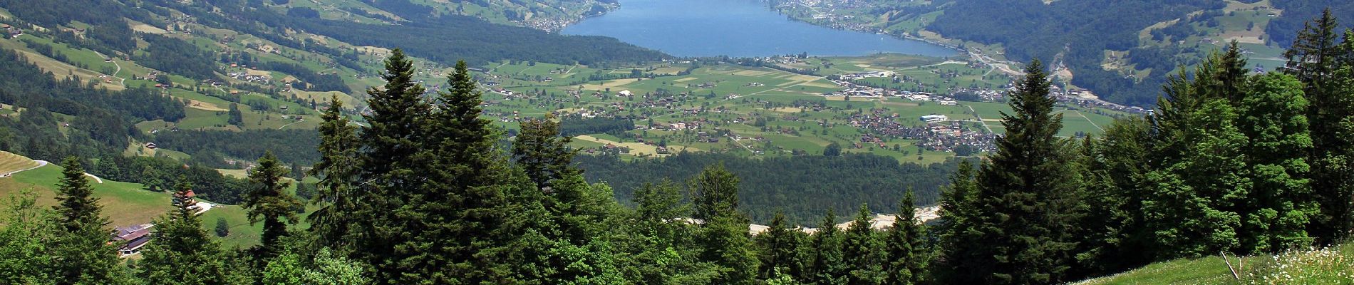 Tour Zu Fuß Giswil - Bärgmandlipfad Giswil - Photo