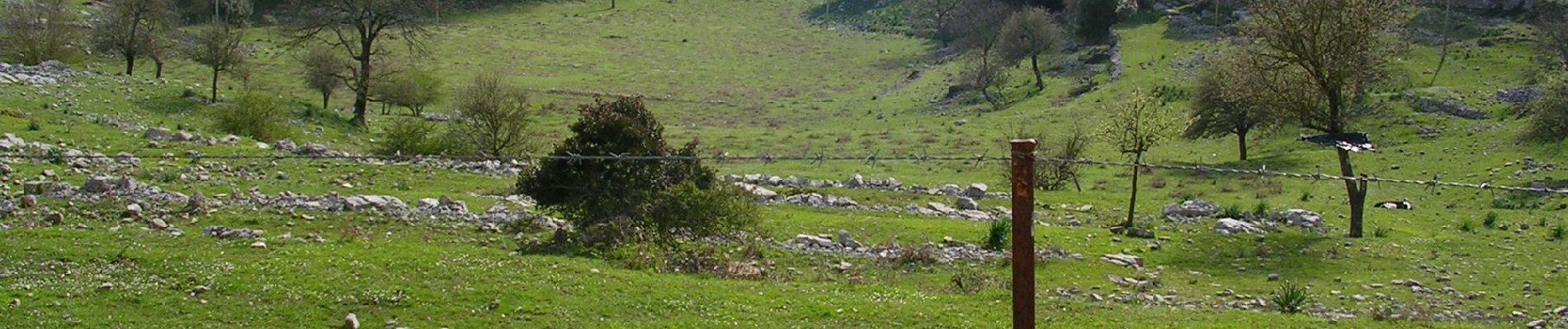 Percorso A piedi Sonnino - Frasso - Monte Romano - Photo