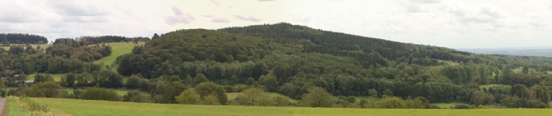 Excursión A pie Schotten - Rundwanderweg Rudingshain R1 - Photo