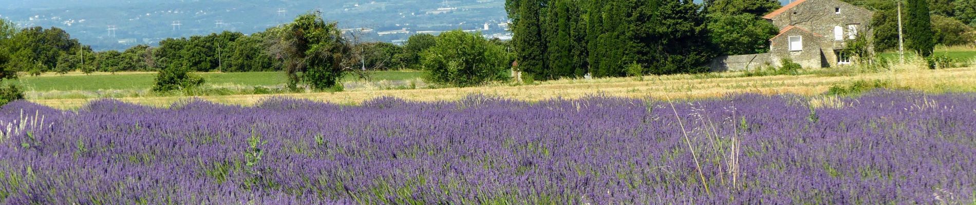 Tocht Stappen Clansayes - SityTrail - Clansayes Le Rouvergue 6km - Photo