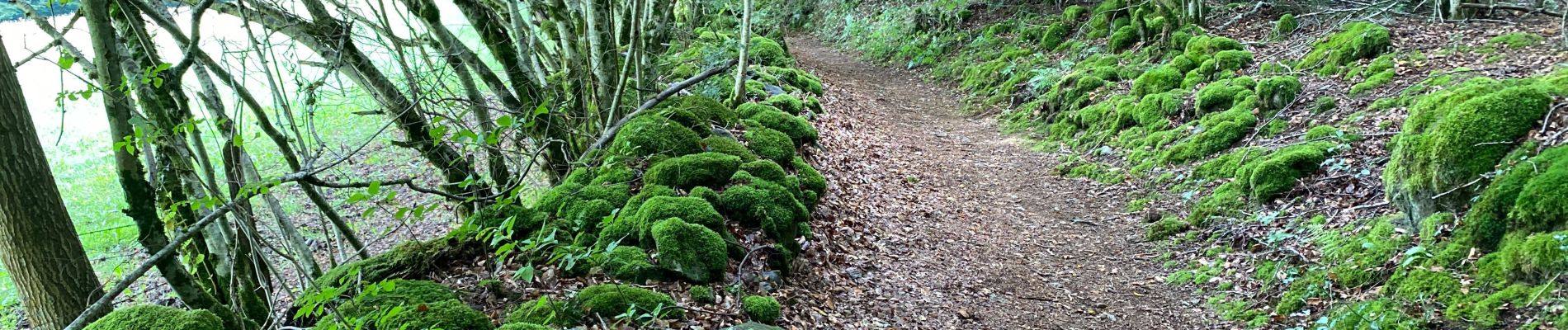 Percorso Marcia Bort-les-Orgues - Les Orgues  - Photo