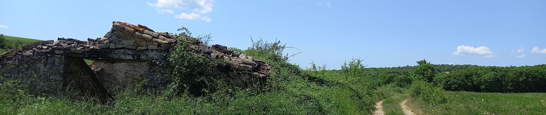 Punto de interés Saint-Georges-de-Luzençon - Plo de Raboul sommet du jour  - Photo