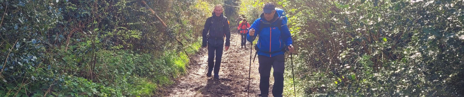 Trail On foot Belle-Isle-en-Terre - Belle Isle en Terre - Le Dresnay - Photo