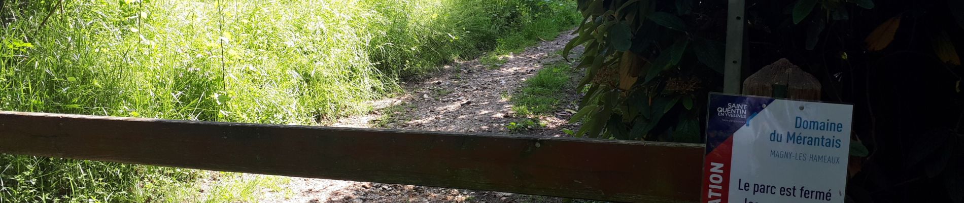 Tocht Stappen Magny-les-Hameaux - bois des roches - Photo