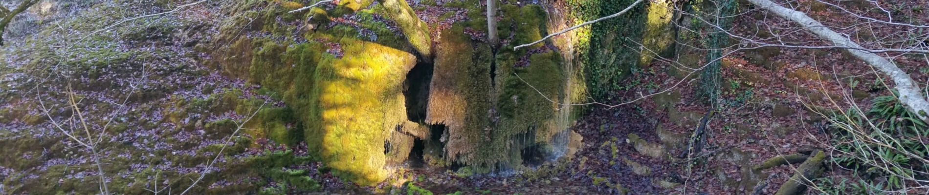 Randonnée V.T.T. Rolampont - Source de la Tuffiere - Photo