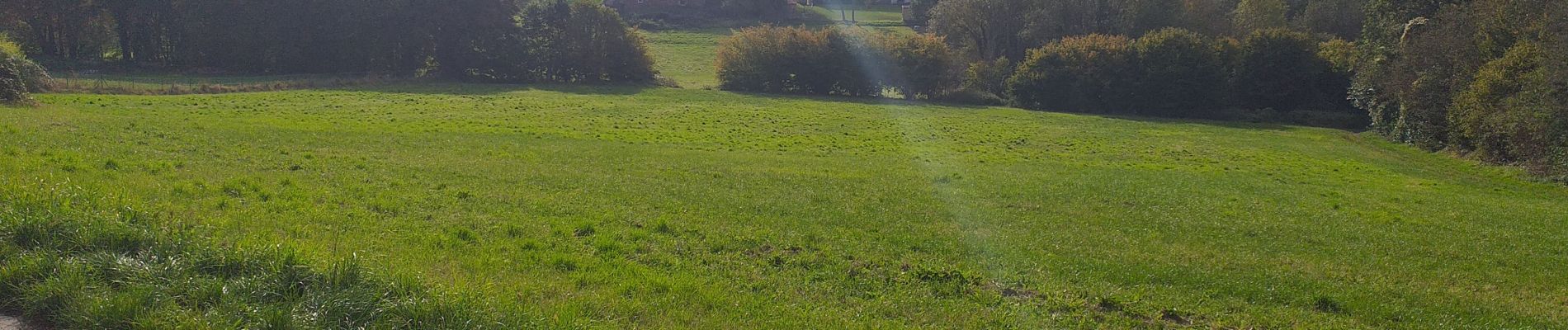 Randonnée Marche Namur - La Plante - Photo