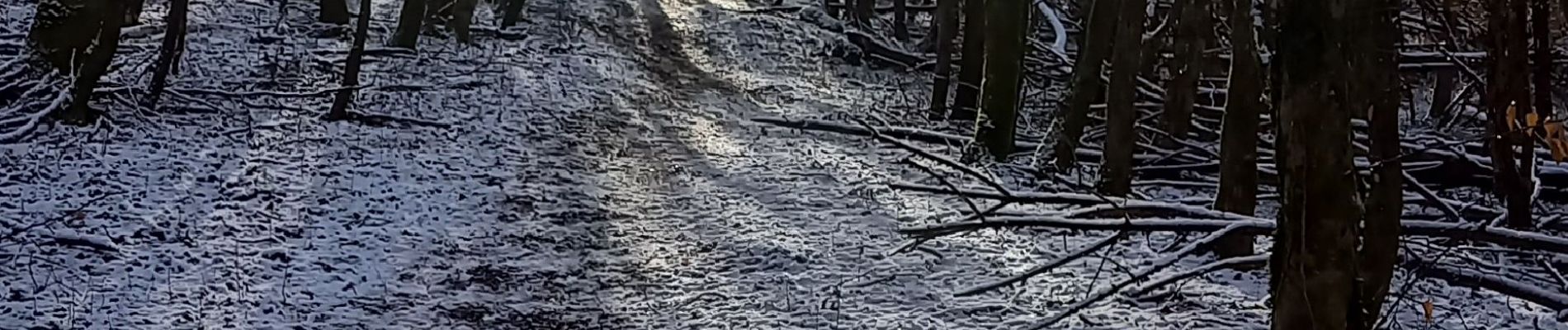 Tour Elektrofahrrad Strüth - sortie vtt 21012024 mertzen - Photo