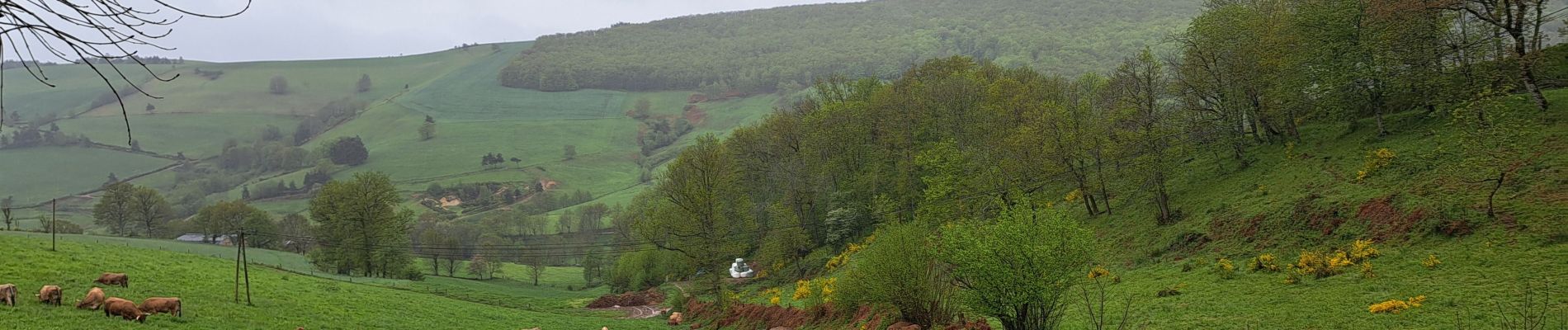 Randonnée Marche Saint-Chély-d'Aubrac - Mon chemin de St Guilhem étape 3 - Photo