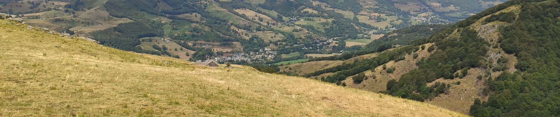 Trail Walking Thiézac - puy gros depuis Nierveze - Photo