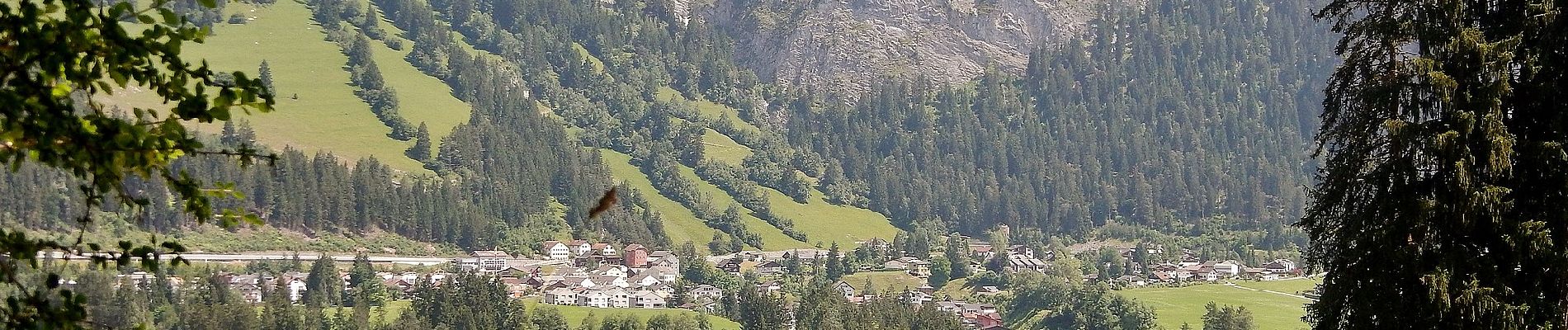 Percorso A piedi Trin - Ruinaulta sut - Photo