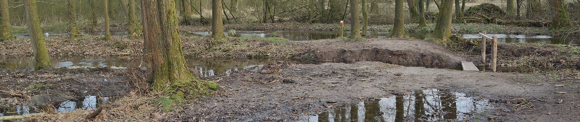 Tocht Te voet Boxtel - Oetendonkroute - Photo