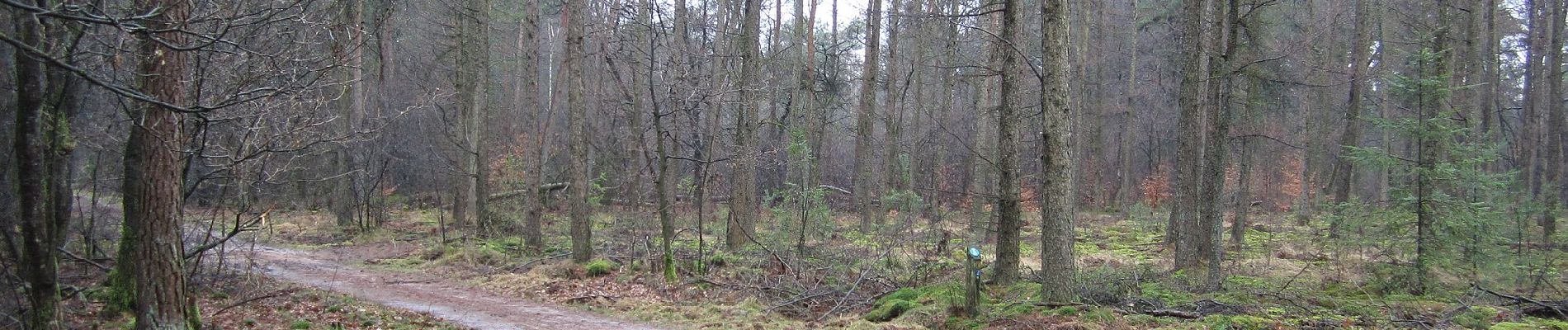 Tocht Te voet Barneveld - Putten naar Krachtighuizen - Photo