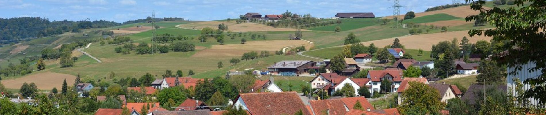 Tocht Te voet Gansingen - Laubberg - Wil - Photo