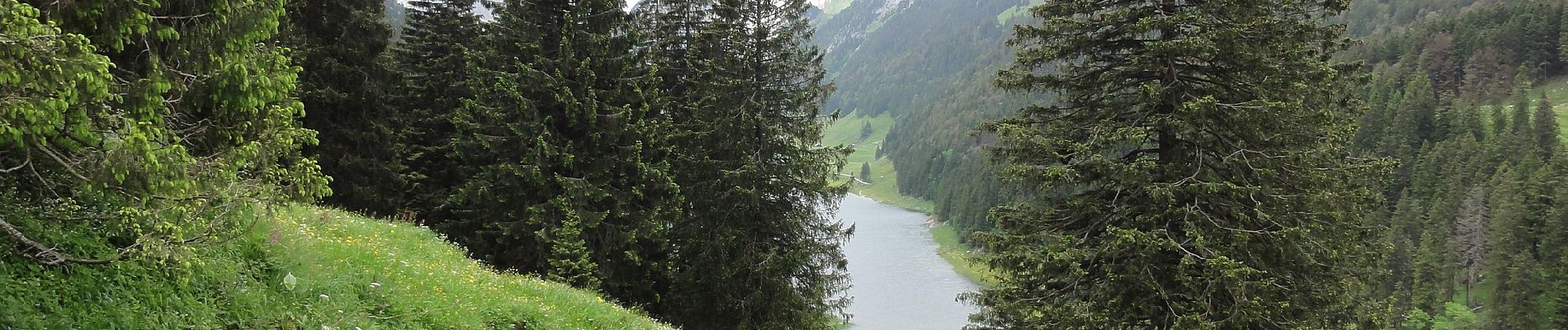 Tocht Te voet Rüte - Ruhsitz - Rainhütte - Photo