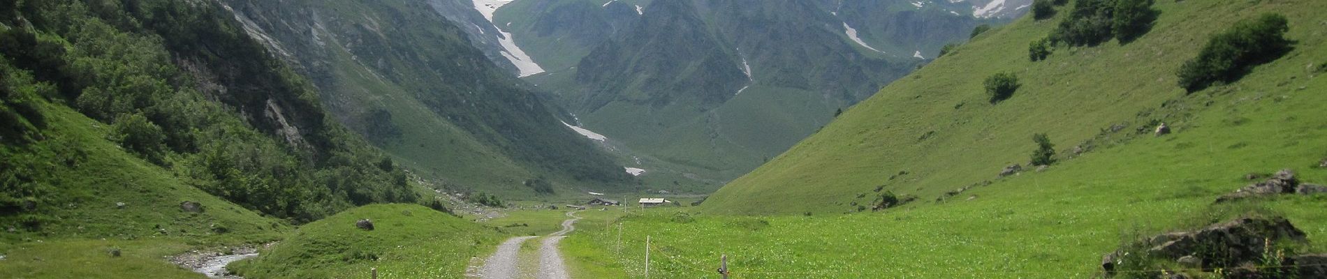 Tocht Te voet Attinghausen - Höchiberg - FIXME - Photo