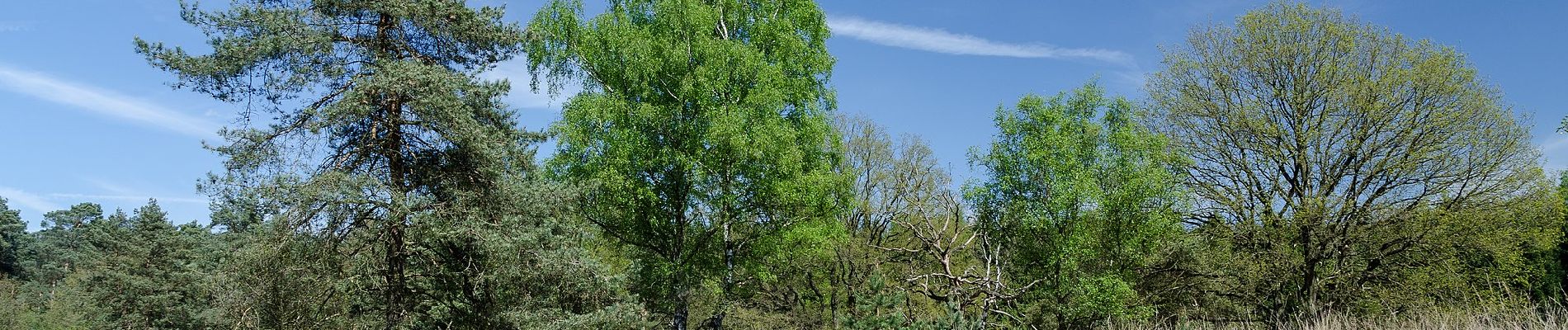 Tocht Te voet Roerdalen - Meinvennen - Photo