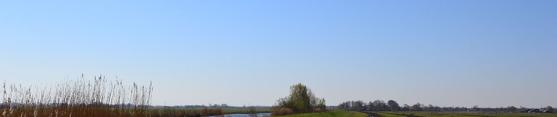 Randonnée A pied Bodegraven-Reeuwijk - Bruinegoudroute - Photo