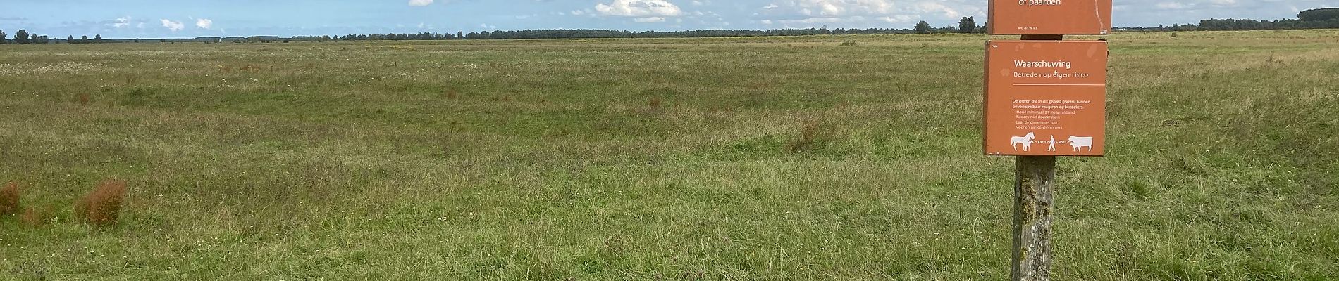 Percorso A piedi Noardeast-Fryslân - Vogelroute - Photo