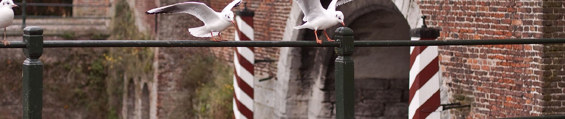 Trail On foot Amersfoort - Landschapspad Hoogland-West - Photo