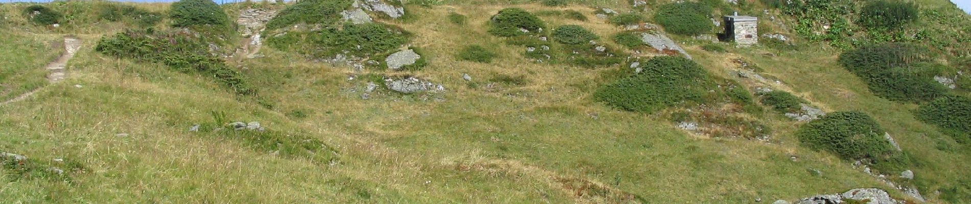Trail On foot Val de Bagnes - Tour des Lacs - Photo