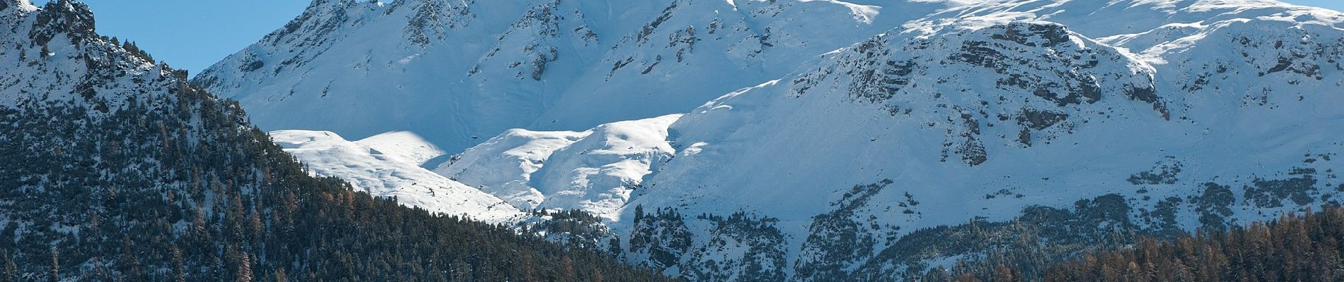 Tour Zu Fuß Zernez - Nationalpark Wanderroute 16 (Fuorntal) - Photo