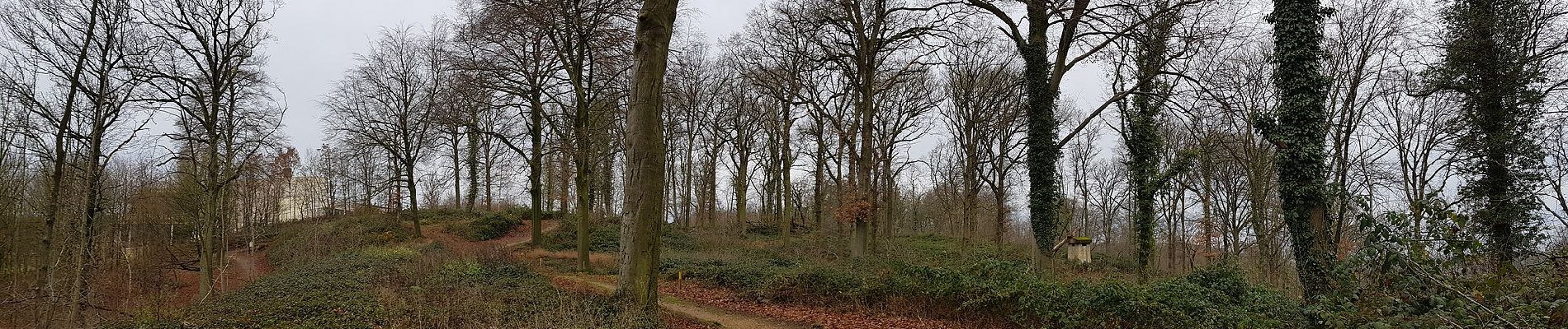 Randonnée A pied Valkenburg aan de Geul - VA8 - Photo