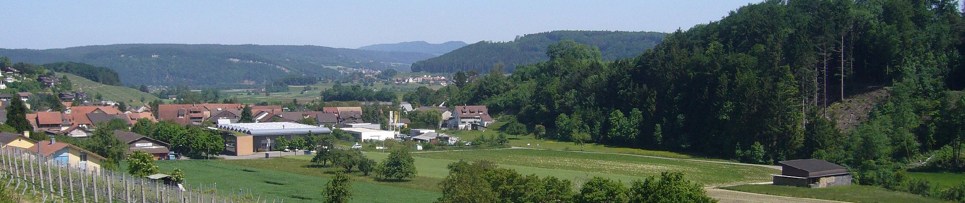 Tour Zu Fuß Remigen - Bürersteig - Remigen - Photo