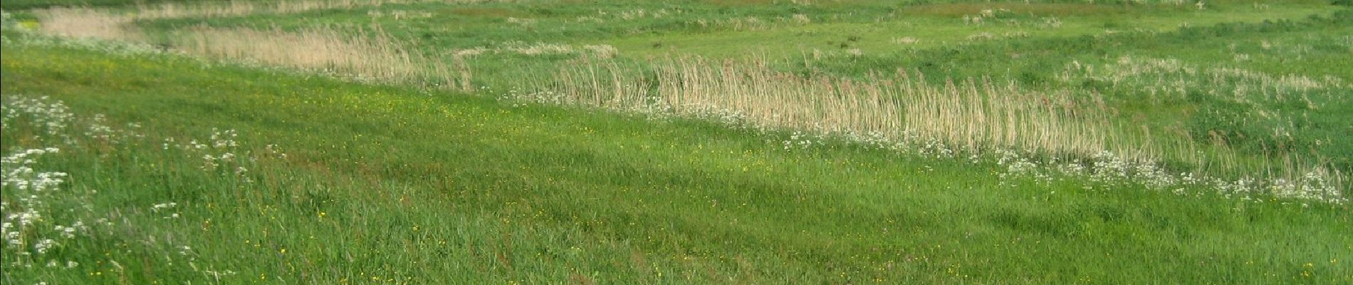 Tocht Te voet Kaag en Braassem - Zwetpolderroute - Photo