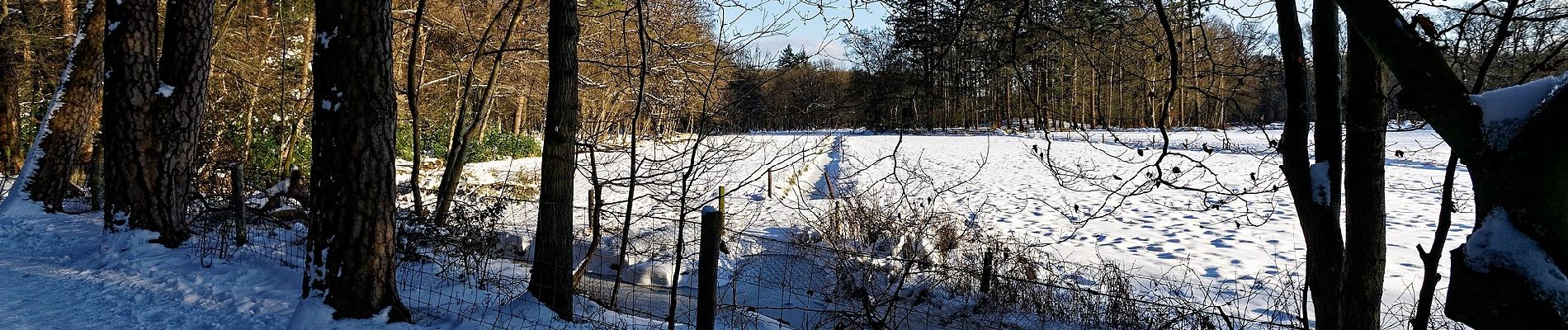 Trail On foot Ermelo - Leuvenumse bos (blauwe route) - Photo