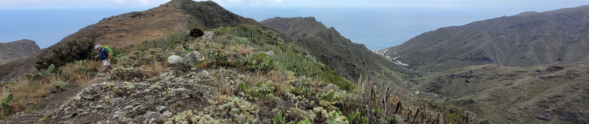 Excursión Senderismo Santa Cruz de Tenerife - Igueste - Punta de Antequera - Photo