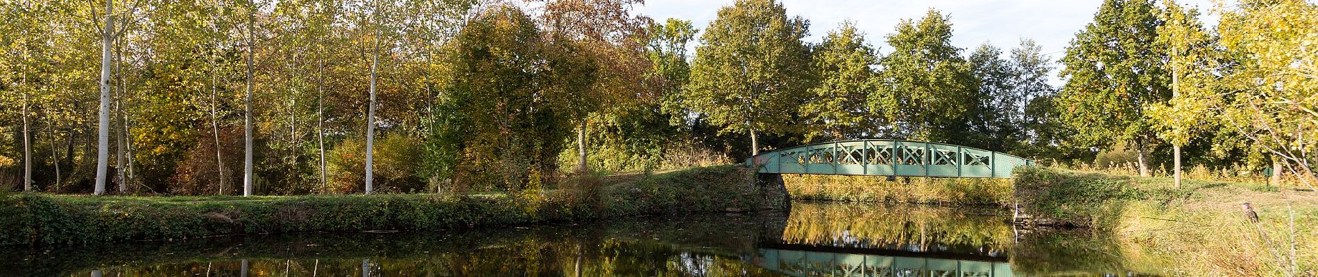 Trail On foot Rennes - Circuit des Louvries - Photo