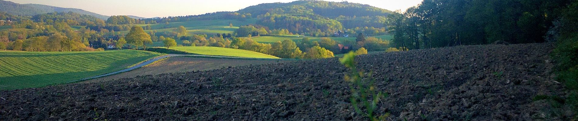 Excursión A pie Seeheim-Jugenheim - Ortsrundwanderweg Ober-Beerbach 2: Panorama Weg - Photo