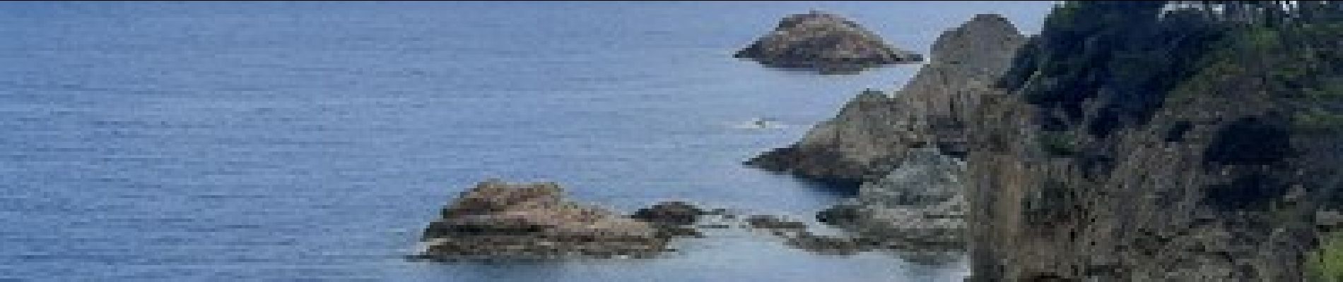 Trail Walking Tossa de Mar - Wikiloc - Tossa de Mar-Cala Bona-Tossa - Photo