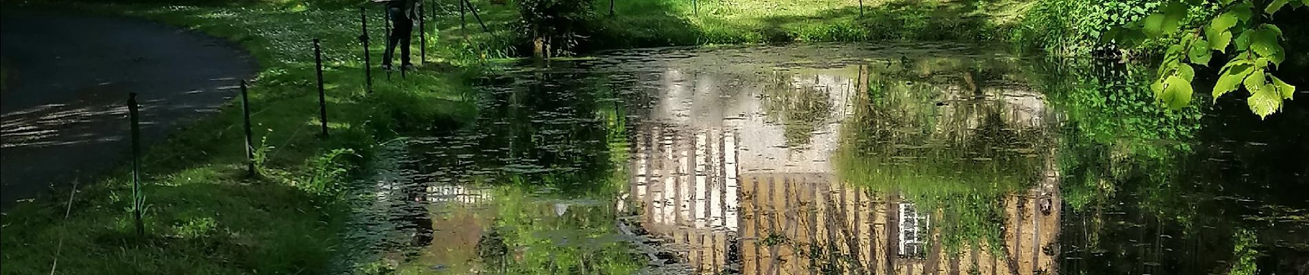 Punto de interés Saint-Pierre-en-Auge - Le Pissot - Photo