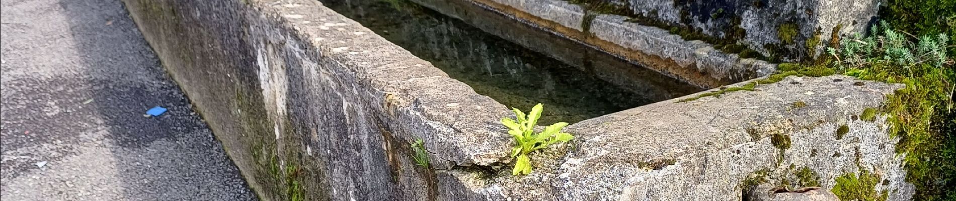 Point d'intérêt Accous - lavoir - Photo