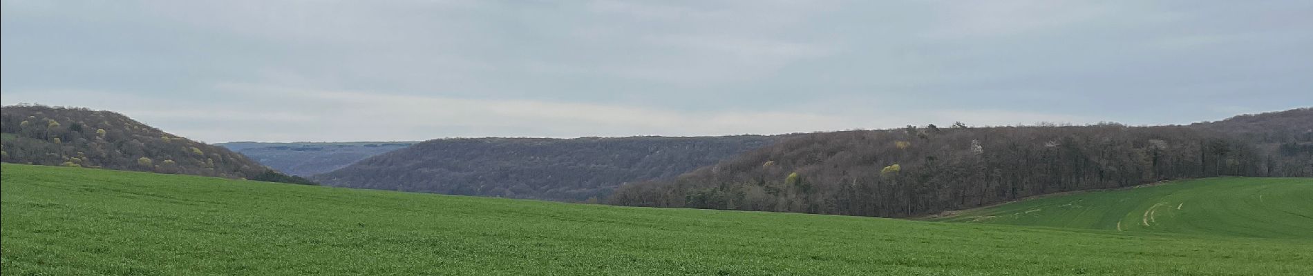 Randonnée Marche Grenant-lès-Sombernon - Grenant les sombernon  - Photo