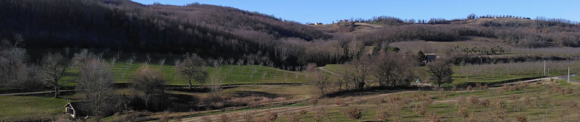 Randonnée Marche Saint-Lattier - Voie médievale à St Lattier - Photo