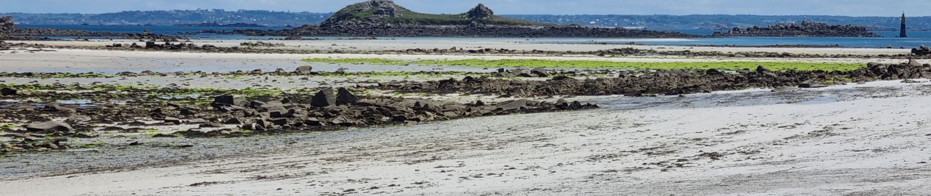 Trail Walking Île-de-Batz - Île de batz  - Photo