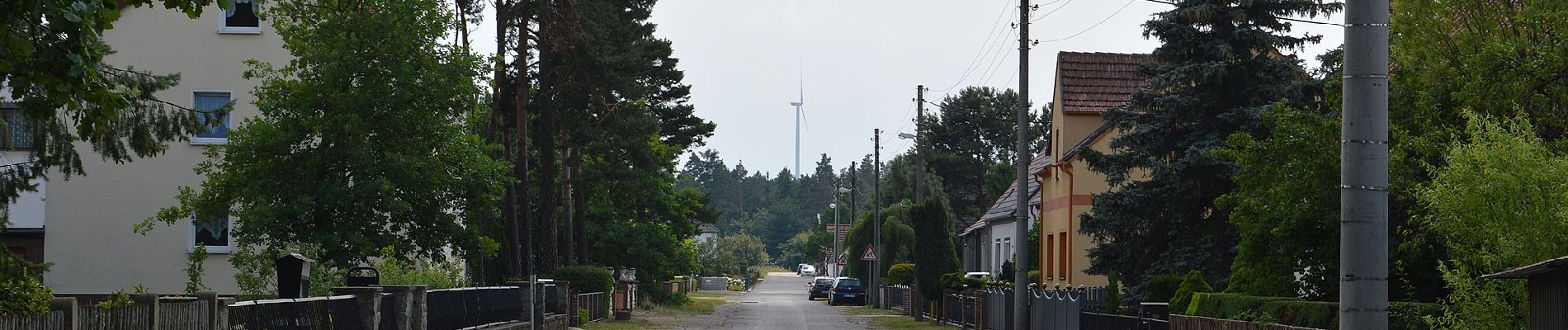 Randonnée A pied Altdöbern - Rundwanderweg Alt Döbern - Photo