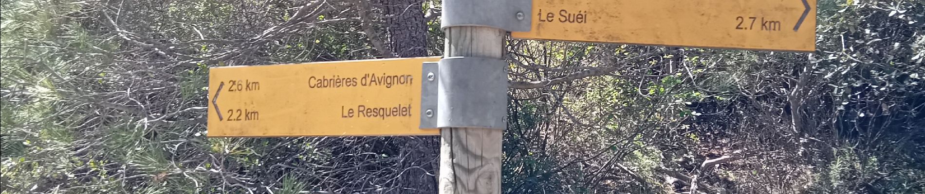 Tour Wandern Cabrières-d'Avignon - Cabrieres les Boujolles - Photo