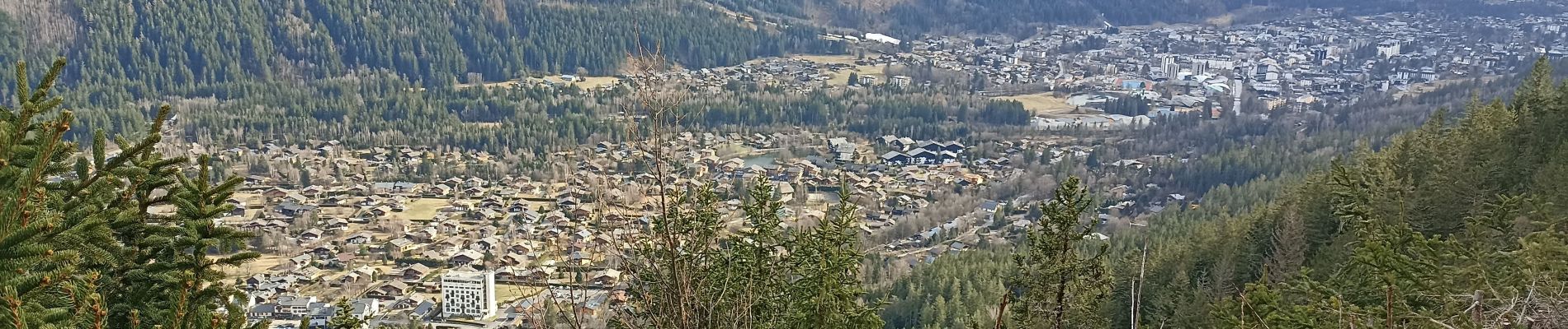 Tocht Stappen Chamonix-Mont-Blanc - aller/retour La Floria Chamonix  - Photo