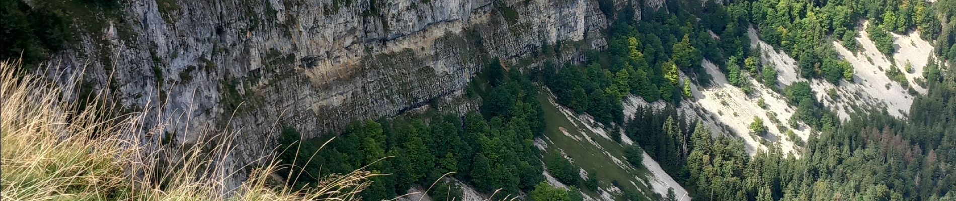 Percorso Marcia Métabief - Le mont d 0r - Photo