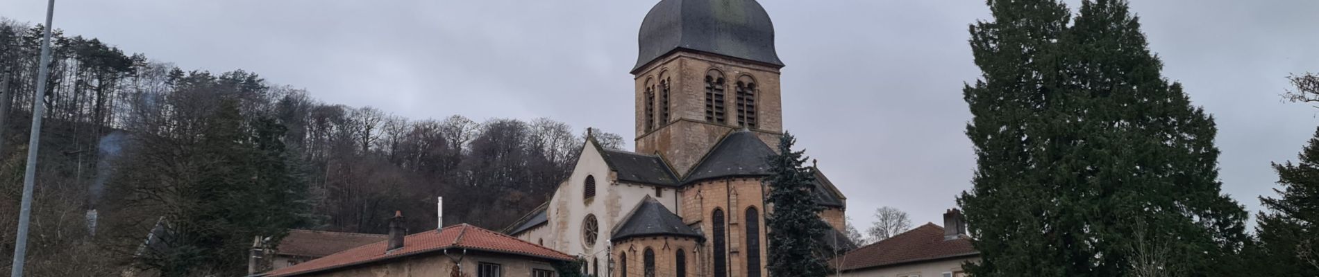 Trail Walking Gorze - Gorze - Autour du Mont Saint Belin et le Moyenmont - Photo