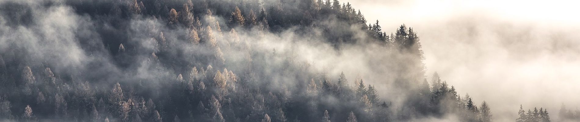 Percorso A piedi Gemeinde Bramberg am Wildkogel - Geologischer Lehrweg Habachtal - Photo